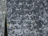 image of grave number 972980